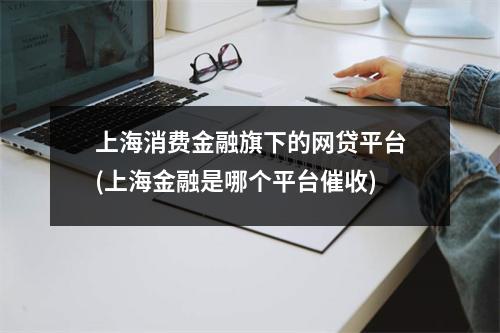上海消费金融旗下的网贷平台(上海金融是哪个平台催收)