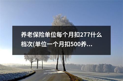 养老保险单位每个月扣277什么档次(单位一个月扣500养老保险)