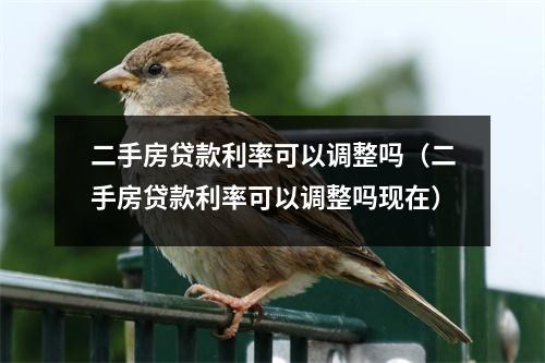 二手房贷款利率可以调整吗（二手房贷款利率可以调整吗现在）