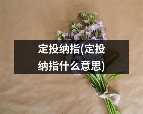 定投纳指(定投纳指什么意思)