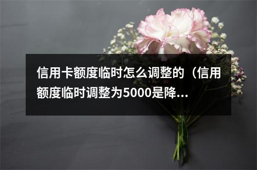 信用卡额度临时怎么调整的（信用额度临时调整为5000是降低额度么）