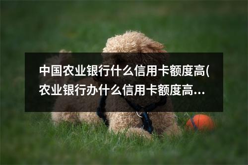 中国农业银行什么信用卡额度高(农业银行办什么信用卡额度高)