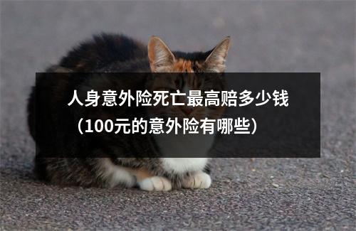 人身意外险死亡最高赔多少钱（100元的意外险有哪些）