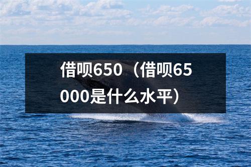 借呗650（借呗65000是什么水平）