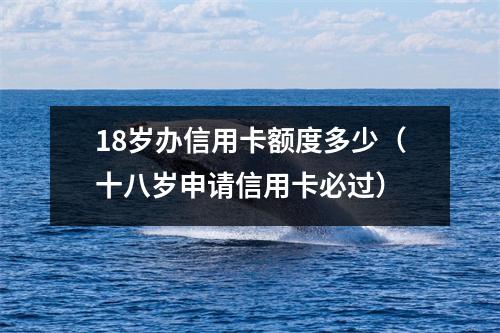 18岁办信用卡额度多少（十八岁申请信用卡必过）