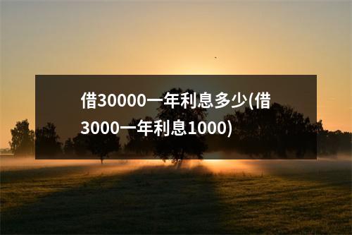借30000一年利息多少(借3000一年利息1000)