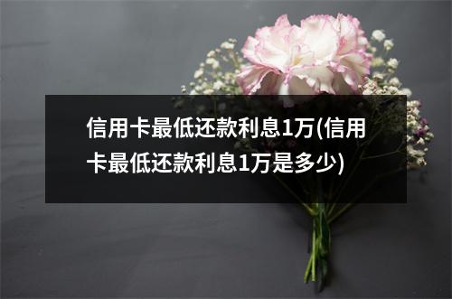 信用卡最低还款利息1万(信用卡最低还款利息1万是多少)