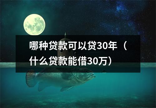 哪种贷款可以贷30年(什么贷款能借30万)
