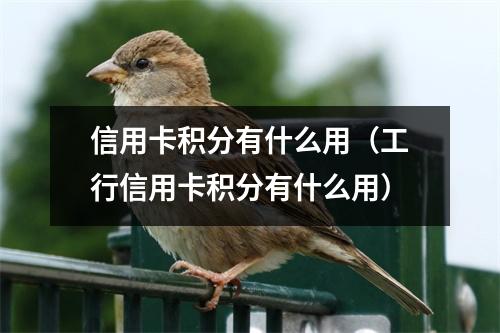 信用卡积分有什么用（工行信用卡积分有什么用）