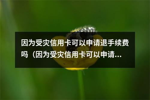 因为受灾信用卡可以申请退手续费吗（因为受灾信用卡可以申请退手续费吗怎么退）