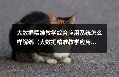 大数据精准教学综合应用系统怎么样解绑（大数据精准教学应用模式主要不包括以下哪项内容）