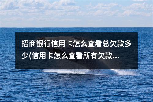 招商银行信用卡怎么查看总欠款多少(信用卡怎么查看所有欠款)