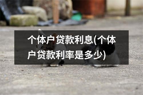 个体户贷款利息(个体户贷款利率是多少)