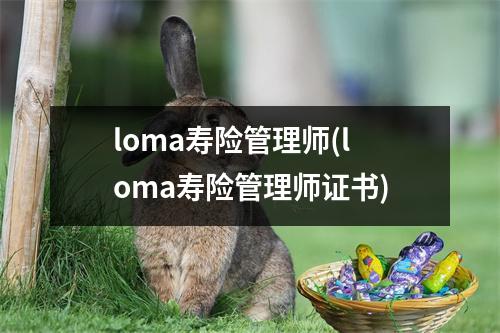 loma寿险管理师(loma寿险管理师证书)