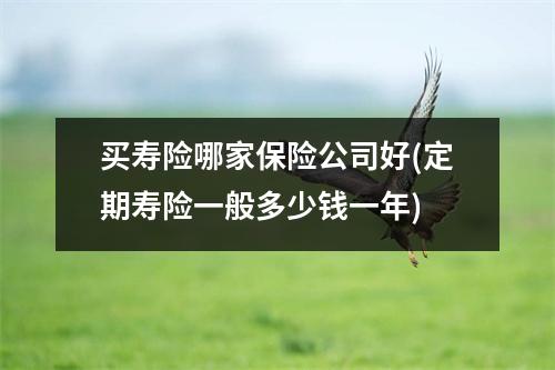 买寿险哪家保险公司好(定期寿险一般多少钱一年)