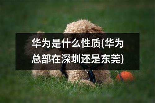 华为是什么性质(华为总部在深圳还是东莞)