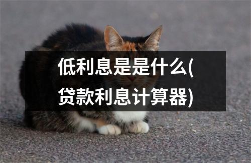 低利息是是什么(贷款利息计算器)