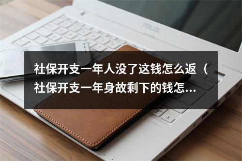 社保开支一年人没了这钱怎么返（社保开支一年身故剩下的钱怎么办）