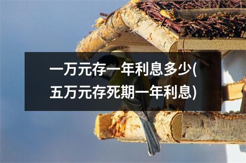 一万元存一年利息多少(五万元存死期一年利息)