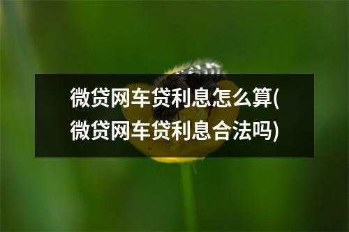 微贷网车贷利息怎么算(微贷网车贷利息合法吗)