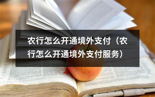 农行怎么开通境外支付(农行怎么开通境外支付服务)