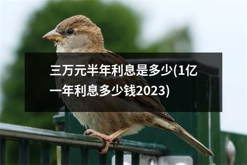 三万元半年利息是多少(1亿一年利息多少钱2023)