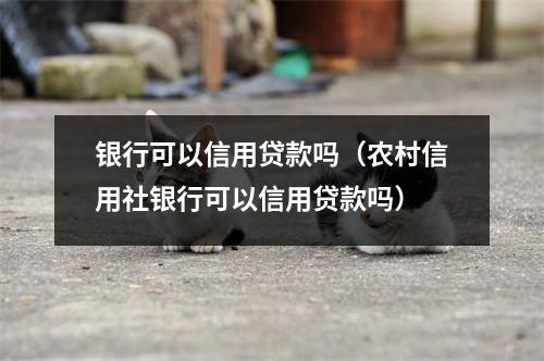 银行可以信用贷款吗（农村信用社银行可以信用贷款吗）