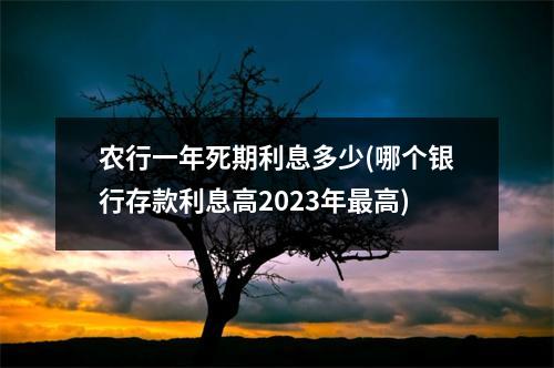 农行一年死期利息多少(哪个银行存款利息高2023年最高)