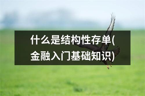 什么是结构性存单(金融入门基础知识)