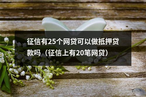 征信有25个网贷可以做抵押贷款吗（征信上有20笔网贷）