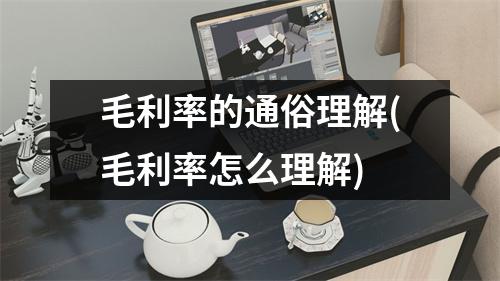 毛利率的通俗理解(毛利率怎么理解)