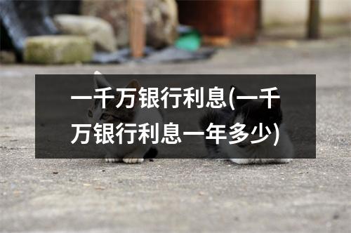 一千万银行利息(一千万银行利息一年多少)