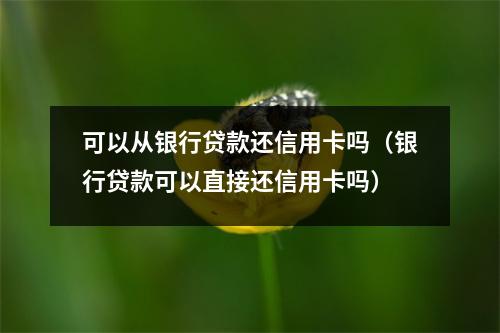 可以从银行贷款还信用卡吗（银行贷款可以直接还信用卡吗）
