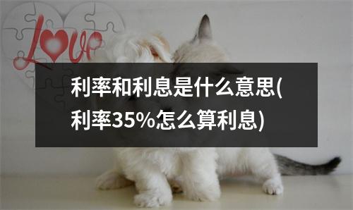 利率和利息是什么意思(利率35%怎么算利息)