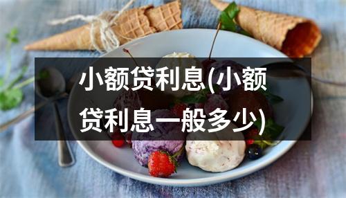 小额贷利息(小额贷利息一般多少)