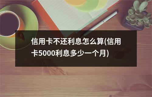 信用卡不还利息怎么算(信用卡5000利息多少一个月)