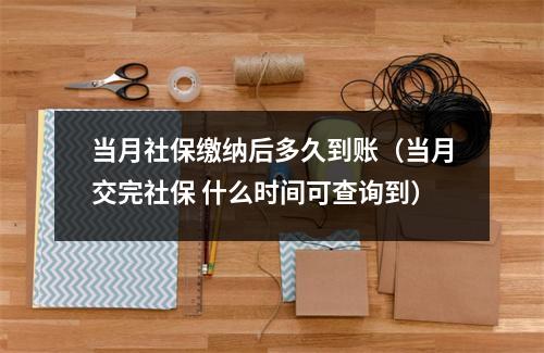 当月社保缴纳后多久到账（当月交完社保 什么时间可查询到）