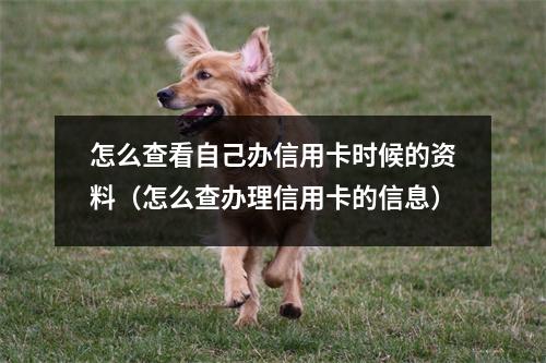 怎么查看自己办信用卡时候的资料（怎么查办理信用卡的信息）