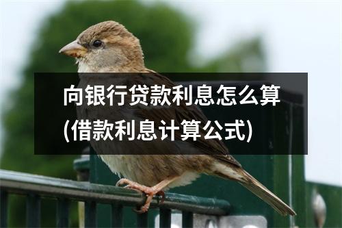 向银行贷款利息怎么算(借款利息计算公式)