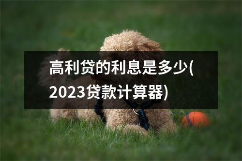 高利贷的利息是多少(2023贷款计算器)