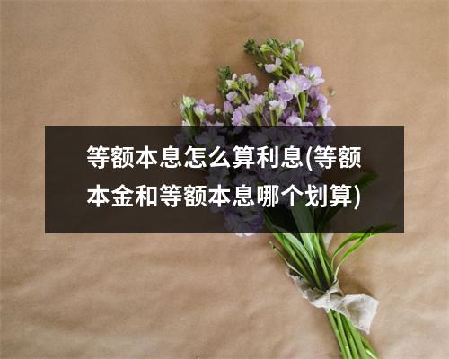 等额本息怎么算利息(等额本金和等额本息哪个划算)