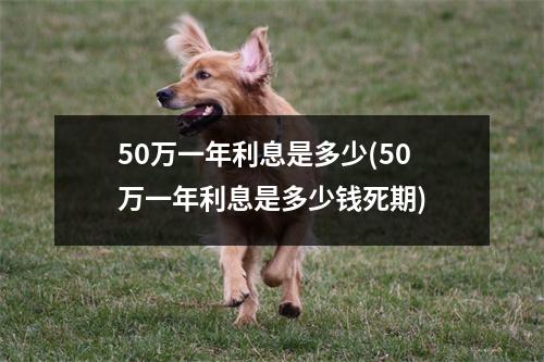 50万一年利息是多少(50万一年利息是多少钱死期)