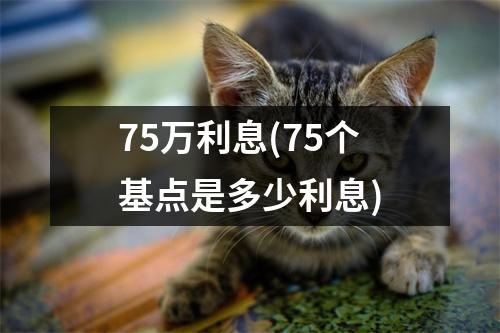 75万利息(75个基点是多少利息)