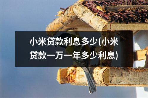 小米贷款利息多少(小米贷款一万一年多少利息)