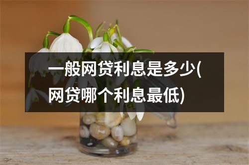 一般网贷利息是多少(网贷哪个利息最低)