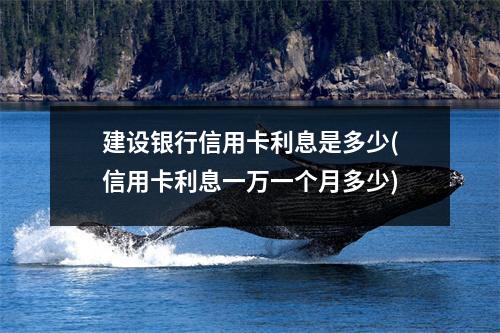 建设银行信用卡利息是多少(信用卡利息一万一个月多少)