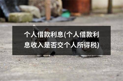个人借款利息(个人借款利息收入是否交个人所得税)
