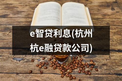 e智贷利息(杭州杭e融贷款公司)
