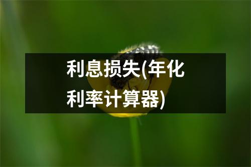利息损失(年化利率计算器)