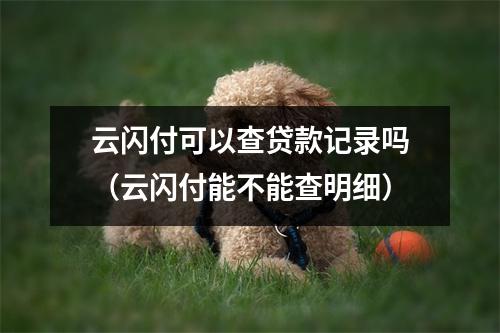 云闪付可以查贷款记录吗（云闪付能不能查明细）